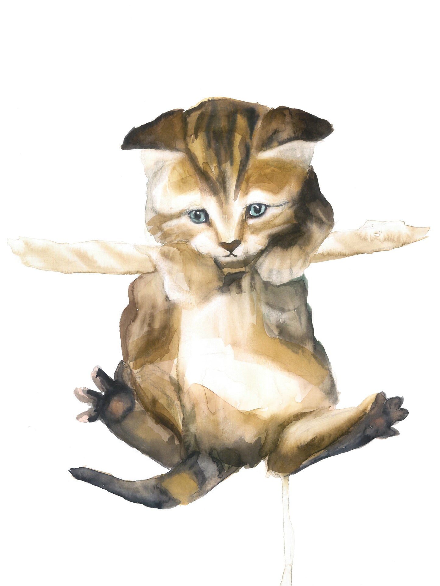 Gato equilibrista