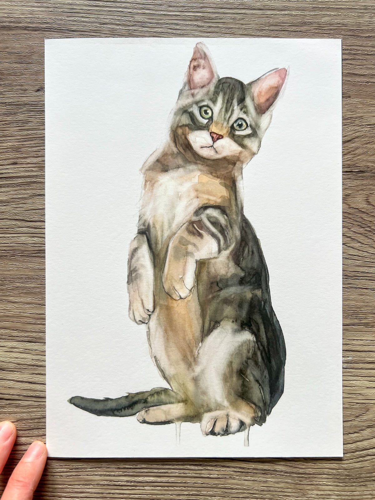 Gato Curioso Print Fine Art