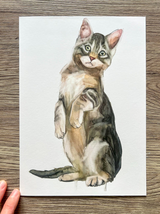 Gato Curioso Print Fine Art
