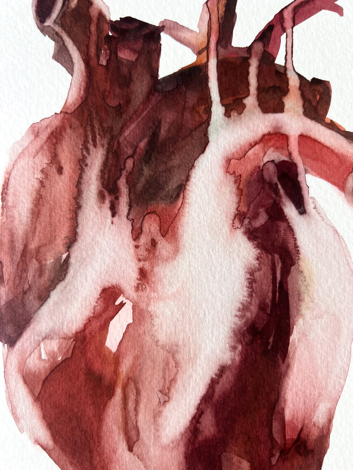 Corazón