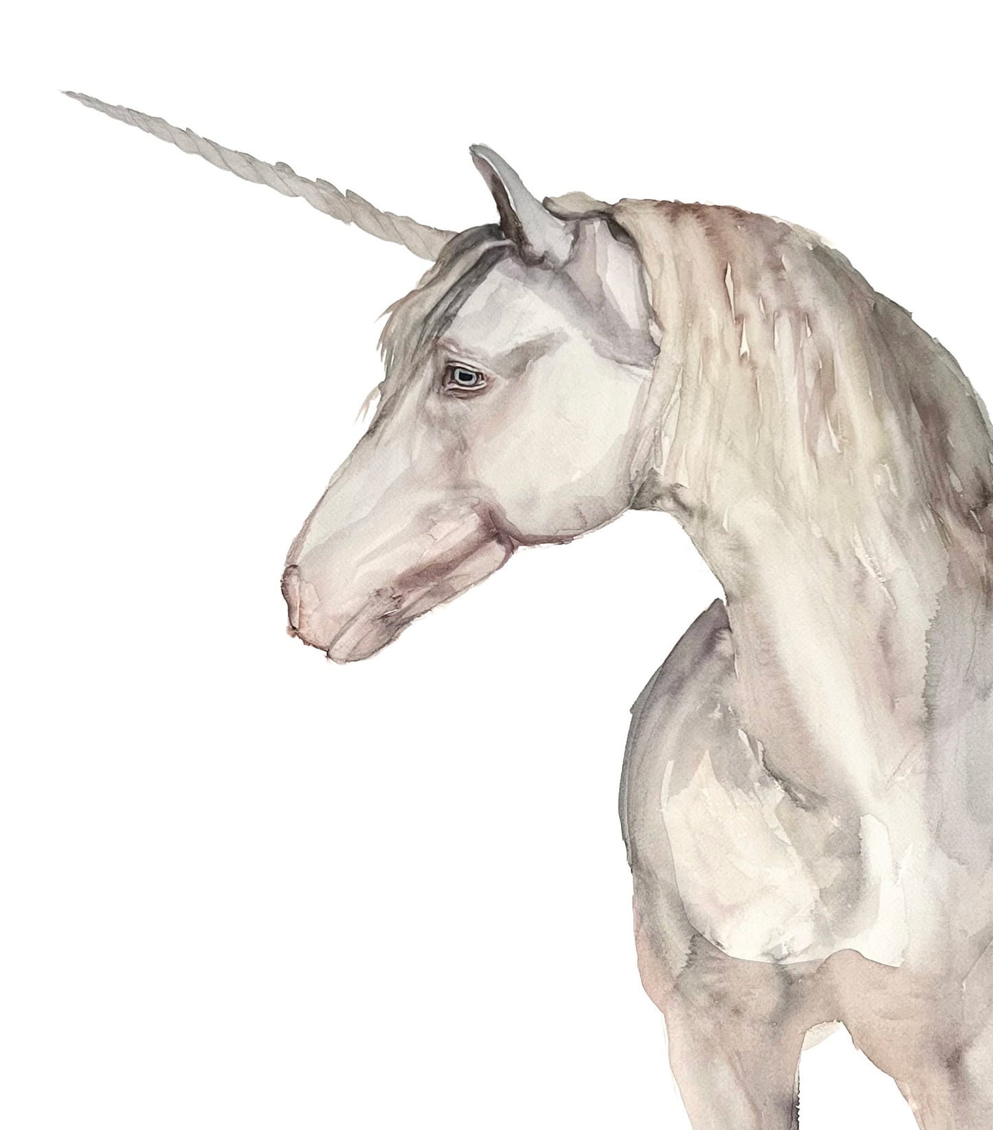 Unicornio